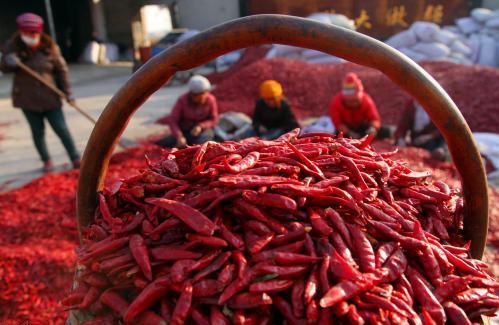 Najwyższej jakości suszone czerwone chili