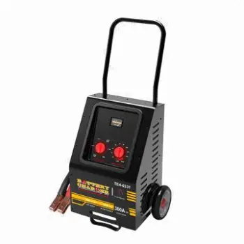 Fast car battery charger, ideal for large fleet operating and industrial use