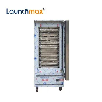 Blast Freezer for Commercial Poultry, Seafood, and Sea Cucumber - 10 Trays Capacity