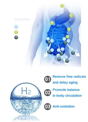 Rich Hydrogen Water Maker: Active Electrolysis Ionizer for Hydrogen Rich Water