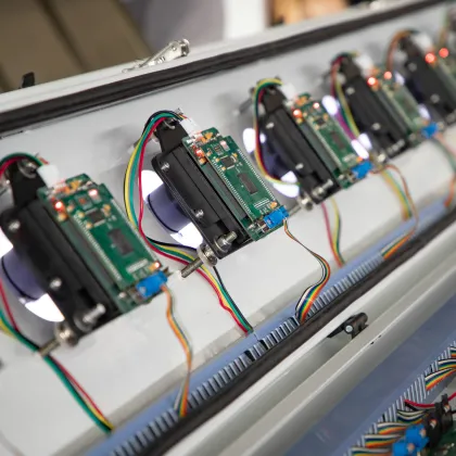 High Accuracy Areca Nut Sorting and Coloring Machine