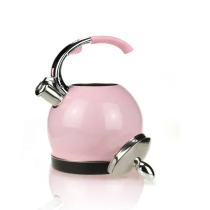 Stainless Steel European Electric Teapot