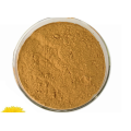 supply Freeze dried Aloe vera extract powder