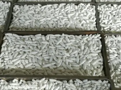 Cocoon Bobbin Thread