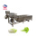 Top Loading Mulberry Washing Mulberry Cleaning Machine