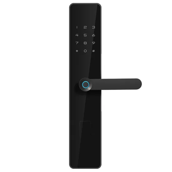 Keyless Entry Aluminum Door Locks For Homes Apartments