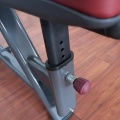 Fitness Ekipman Gücü Pektoral Sinek/Arka Deltoid Makinesi