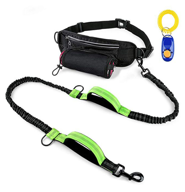 Bungee Hands Free Dog Leash