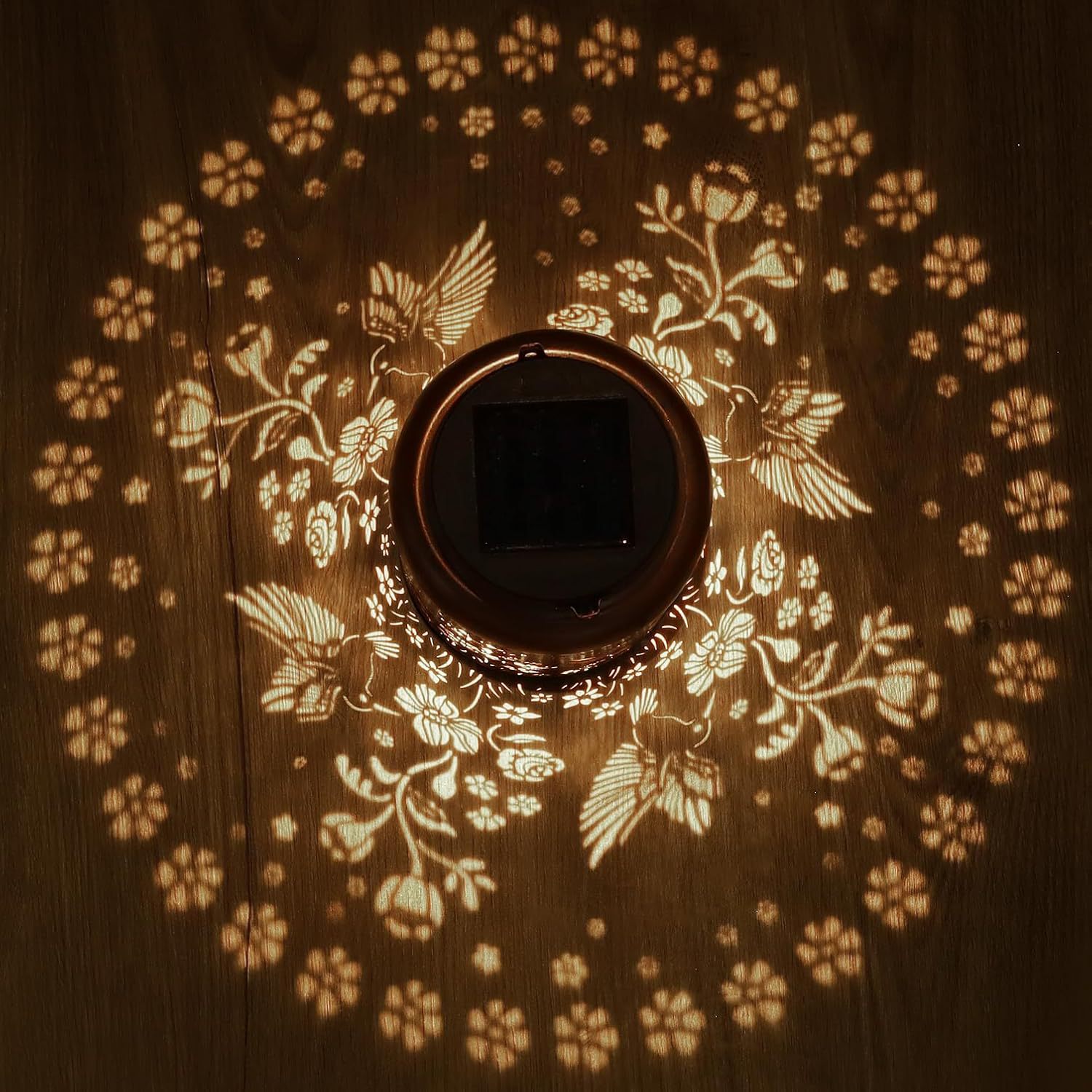 Solar Garden Lights_9