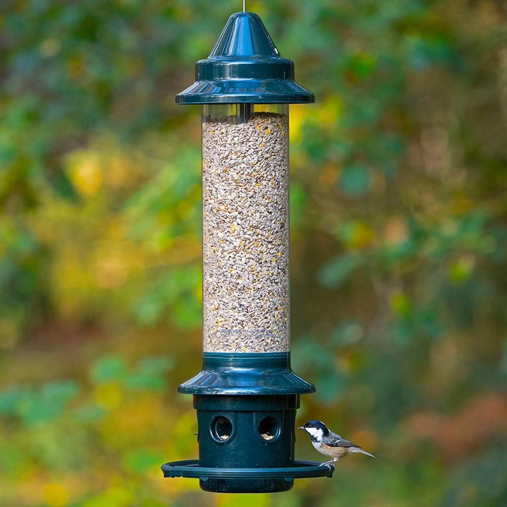 Squirrel Buster más alimentador de aves a prueba de ardillas