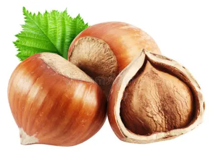 Lipids Hazelnut Extract Plant Sterol Powder