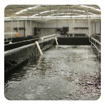 UV Resistant 500 Micron HDPE Pond Liner: Waterproof Solution for Indoor Fish Ponds and Farms