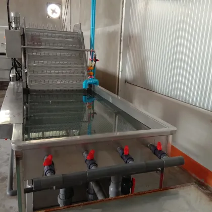 Bean Sprouts Vibration Sheller and Cleaning Machine