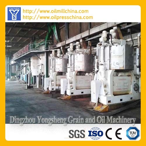 30-50Tons Sunflower Oil Press Machine