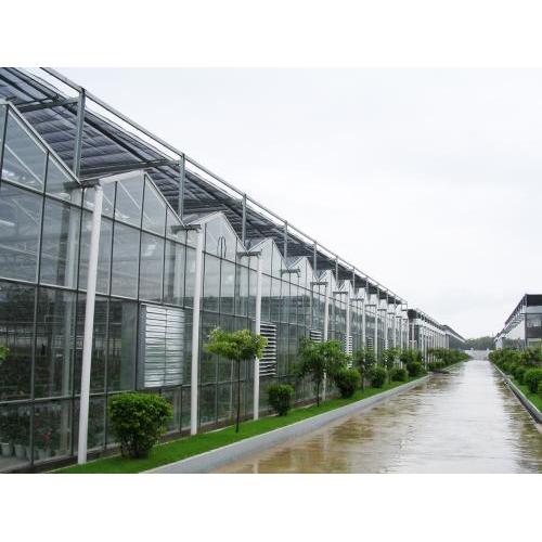 Imported Premium Stabilizer Light stabilizer for greenhouse film covers Factory