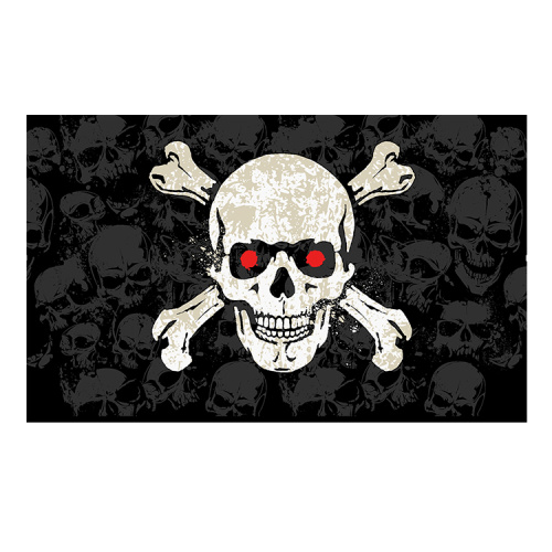 factory price Polyester outdoor custom fabric pirate flag