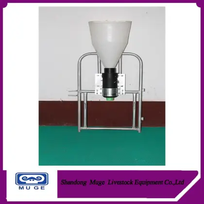 Sow free feeder pig feeding ball for livestock equipment