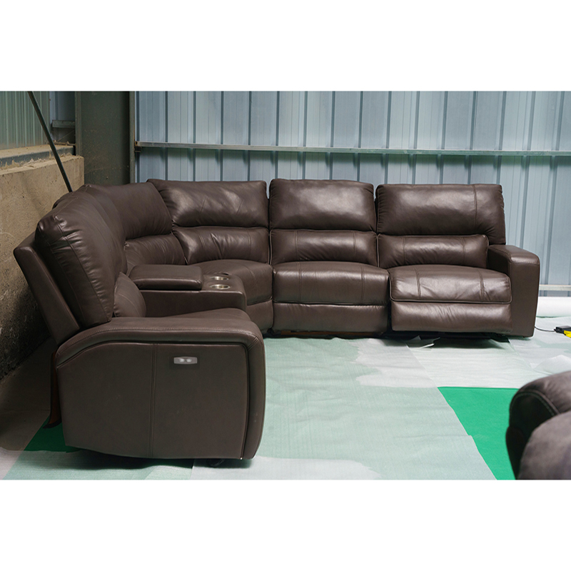 Recliner Sofa 6911 9