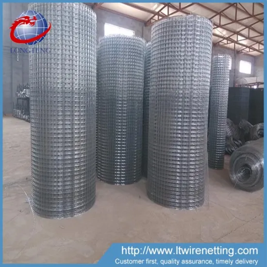 Best price 1/4 inch welded wire mesh fence roll in 6 gauge