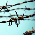 High Tension Military Protecting Barbed Wire Fence