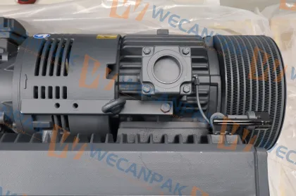Alcatel Grain Elmo Rietschle Vacuum Pump