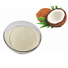 Organic Coconut Milk Powder Bulk