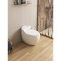 Bathroom Siphonic Water Closet One piece WC Toilet