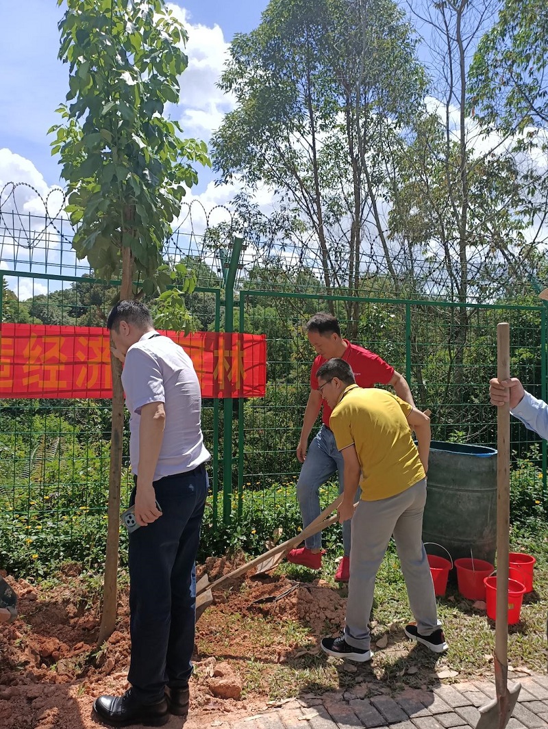 Light of Kindness, Warmth Along the Way: Xinghai Logistics' Heartwarming Public Welfare Responsibility Reveals the Company's Most Soft Responsibility