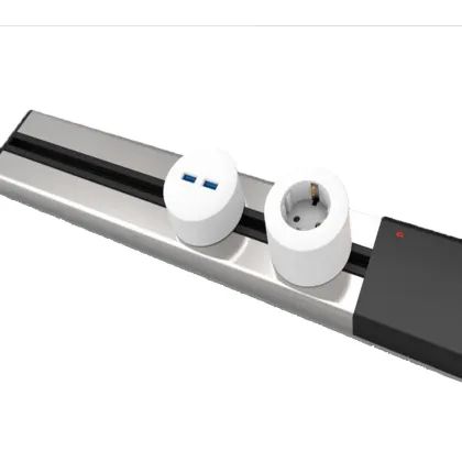 Cost-effective Power Track with 2 Adapters and Removable Socket