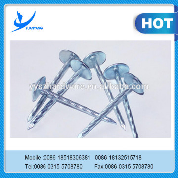 hight quality Umbrella head nails