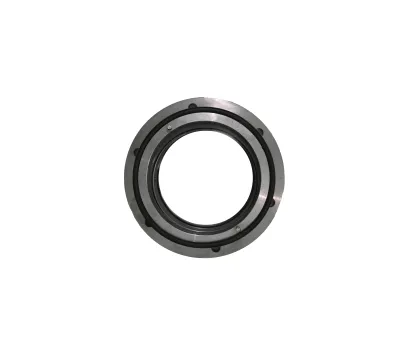 Bornemann double component seal