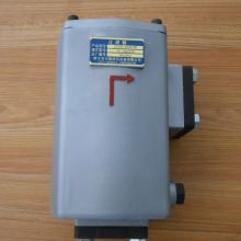 Pipeline Suction Oil Filter Strainer ISV40-160X100