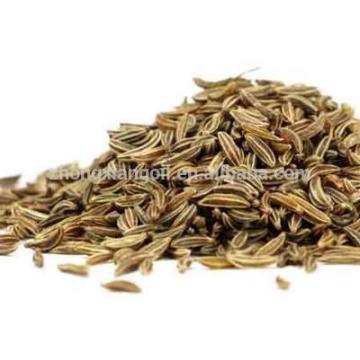 Organic Black Cumin Seed Oil at Wholesale Price