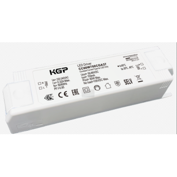 Eco Independent Typ LED -Treiber