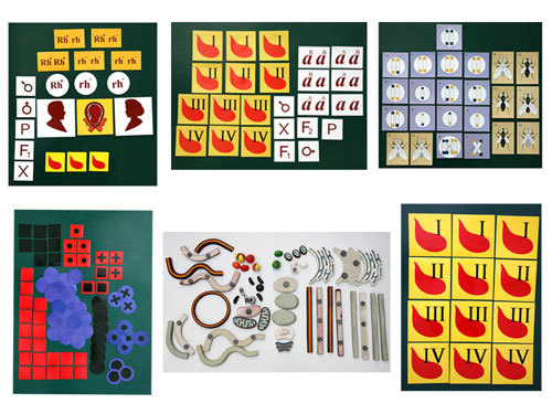 Human Genetics, Magnetic Demonstration Cards