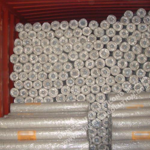 25mm Hot Dipped Galvanized Poultry Netting