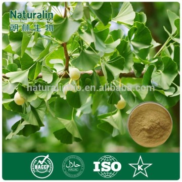 Natural Ginkgo Biloba Leaf Extract Powder/Biloba Ginkgo Extract
