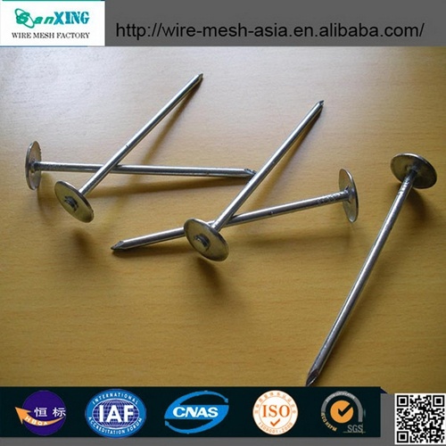 Best Price Smooth Nail Best Price Smooth Head Screw Shank Nails Supplier