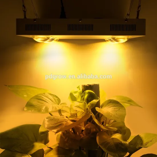 Lumini intelligent greenhouse 600watt grow led light for tomato growing