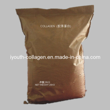 Collagen, Fishskin Collagen, Bovine Collagen