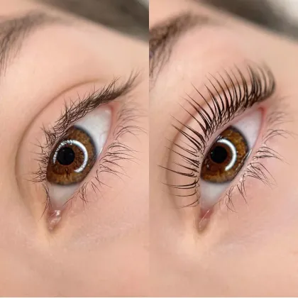Gollee Best Korea Lash Lift Kit - Eyelash Lift Set & Brow Lashlift