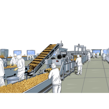 Máquinas para fabricar papas fritas de patata comercial