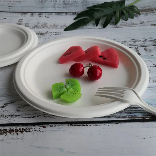 Biodegradable Bagasse Paper Pulp Restaurant Plates