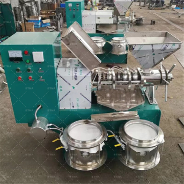 BTMA 6YL Small Commercial Shea Butter and Palm Oil Extraction Machine