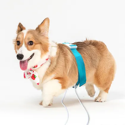 vet hospital pet dog cat health quantum scanner