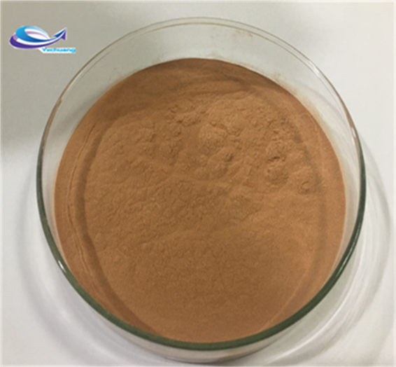 Halal Approved green tea extract powder polyphenol