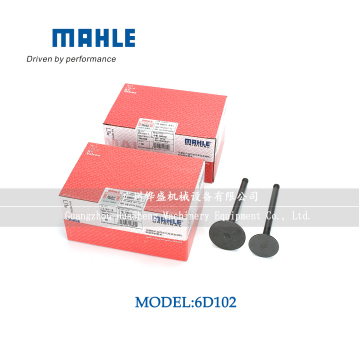 Komatsu 6d102 3920867 3920868 용 Mahle 밸브