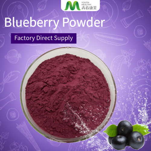 Best Dried Wild Blueberry Powder