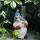 Harz Gnom Gartenstatue mit Plastikregenmesser