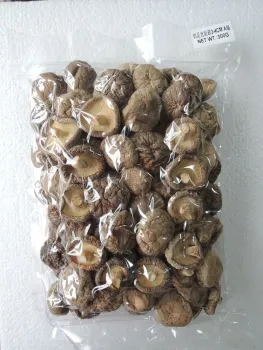 Dried Mushroom 3-4cm cut root